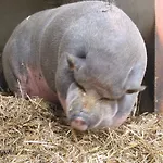 Zoopark Zelcin Gospodarstwo agroturystyczne Mělník