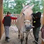 Zoopark Zelcin Gospodarstwo agroturystyczne *