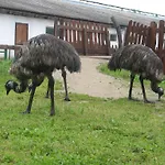 Gospodarstwo agroturystyczne Zoopark Zelcin *