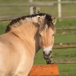 Gospodarstwo agroturystyczne Zoopark Zelcin *