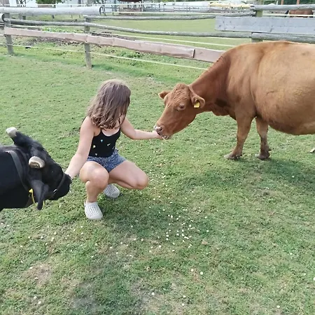 Gospodarstwo agroturystyczne Zoopark Zelcin *