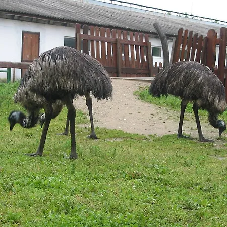 Séjour à la ferme Zoopark Zelcin *