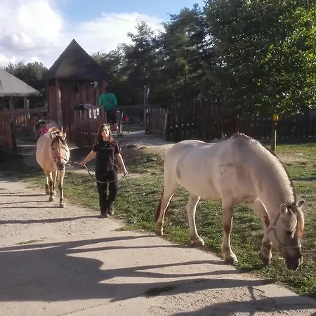 Séjour à la ferme Zoopark Zelcin *
