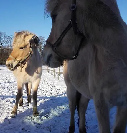 Zoopark Zelcin *