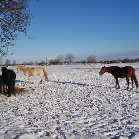 Zoopark Zelčín