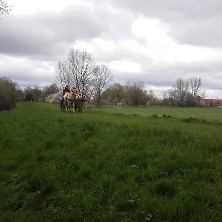 Zoopark Zelcin Melnik