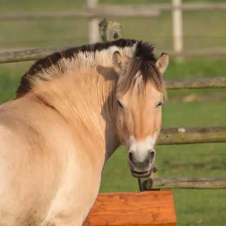 Agroturismo Zoopark Zelcin *