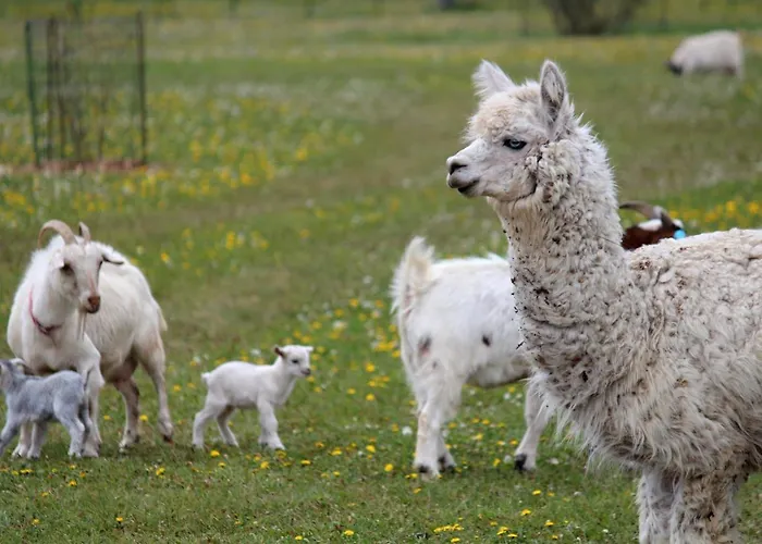 Zoopark Zelcin * Mělník