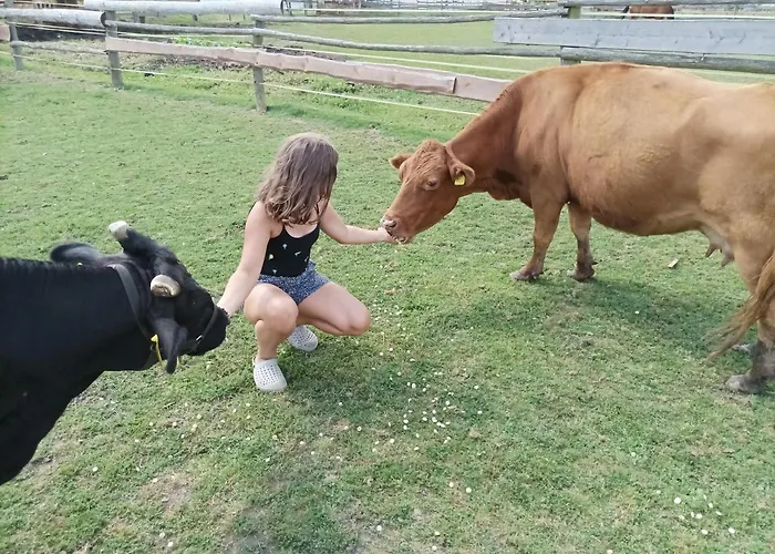 Gospodarstwo agroturystyczne Zoopark Zelcin *