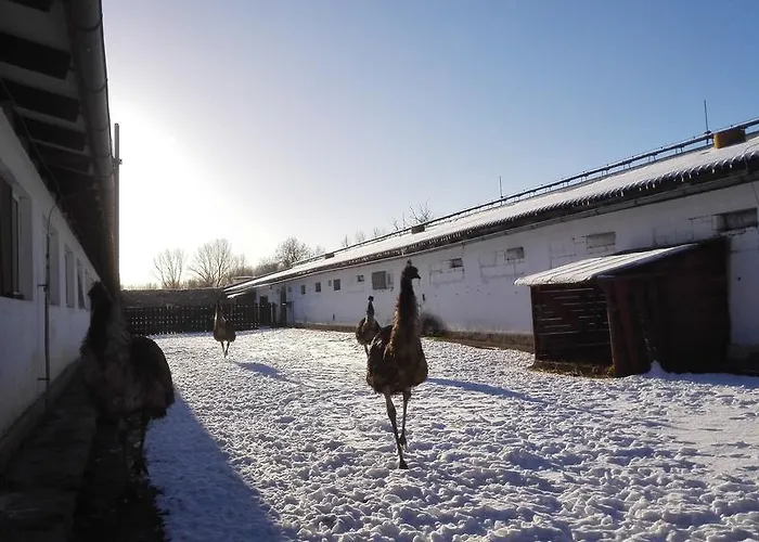 Zoopark Zelcin Mělník