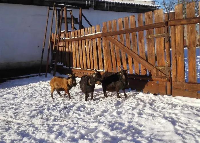 Agroturismo Zoopark Zelcin *