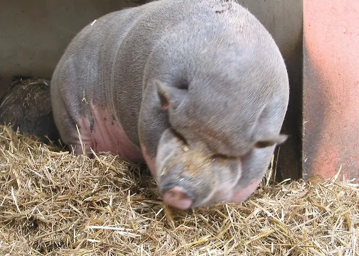 Zoopark Zelcin Gospodarstwo agroturystyczne Mělník