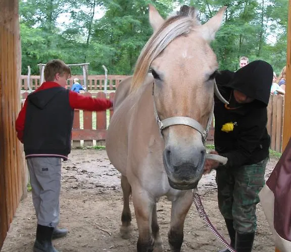 Zoopark Zelcin Gospodarstwo agroturystyczne *