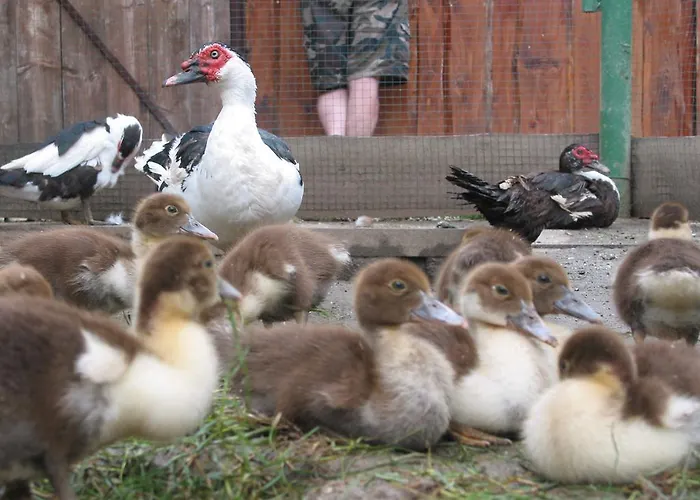Gospodarstwo agroturystyczne Zoopark Zelcin Mělník