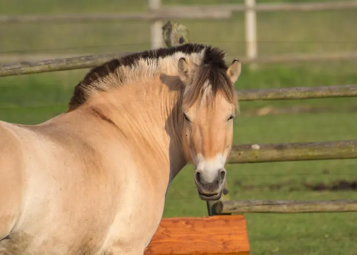 Agroturismo Zoopark Zelcin *